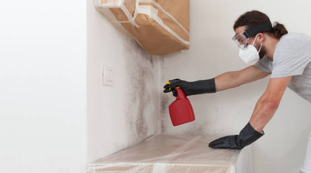 Professional Attic Mold Remediation technician working in Coral Springs, FL
