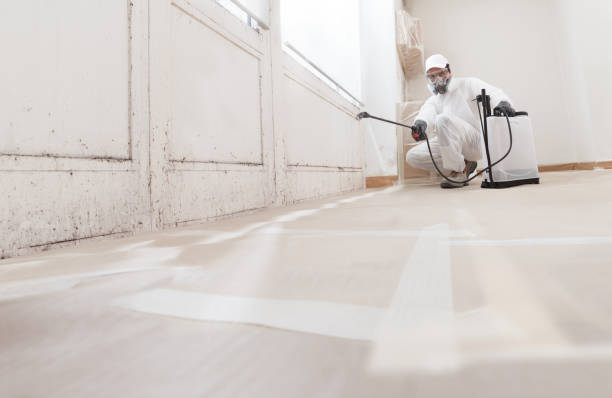 24/7 Emergency Attic Mold Remediation experts in Coral Springs, FL